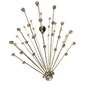 Halley's Comet Brooch Rare find